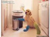 Carpet cleaning Milton Keynes ndash Well Shine