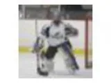 Steelheads AAA Spring Camp