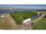Pasco Real Estate Farm and Ranch for Sale. 395000 - Ann Kuykenda