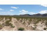 20.000000 acres of land for sale in Van Horn Texas United States