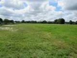 20 Acre Horse Ranch