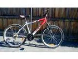 Mountain Bike serviced