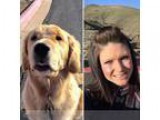 PAWSitive dog walker in Reno