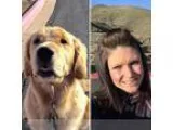 PAWSitive dog walker in Reno