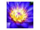 Holistic Health and Spirituality Community Fair