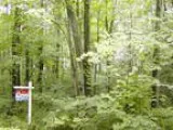 Looking for a Wooded Home Site