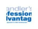 Professional Advantage Executive Briefing
