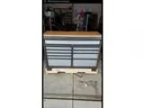 10 year old Gamingspeedtrail pony 132hh
