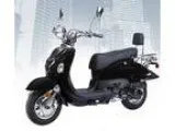 2016 Wolf Jet (Black) 49CC cc (Tallahassee)