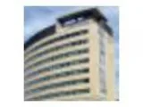 Internal Audit Financial Management and Data Analytics in Govern