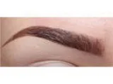 Eyebrow stylist