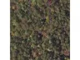 Foreclosure Mobile Home for sale in Cherrylog GA