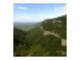Wild Cave Tours