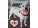 2014 Chevrolet Silverado 1500 Work Truck