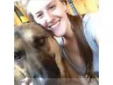 I will love your pet as my own as a Pet sitterdog walker