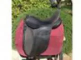 Ellipse Dressage by LovattandRicketts AKA Arabian Saddle Company