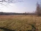 175 Acre Farm End of Road