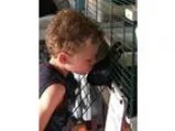 Adopt Tamsin a Bunny Rabbit