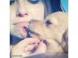 Active and Loving Pet Care Provider