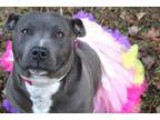 Adoption for Familes
