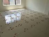 Wall and Floor Tiler