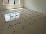 Wall and Floor Tiler