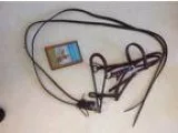 Rick Wheat Norveal Headstall and DVD for sale