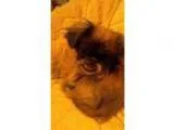 Keypad Lock
