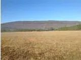 26 acres of land for sale in Lafayette Georgia United States