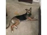 iPhone 5 32GB Black Unlocked - Price: 650