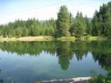 Short Sale Land for sale in Cle Elum WA
