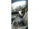 $2200 2 bedroom in Pima Tucson