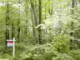 Looking for a Wooded Home Site