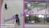 AVAILABLE NOW15Night In-Home Dog BoardingResponsible Pet Sitter