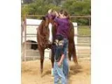 Beautiful Palomino Mare for adoption
