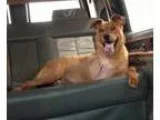Commercial Driver (19002806) in El Cajon CA (5000 Sign On Bonus 