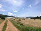Broiler farm for sale in waldron arkansas