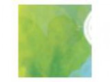 Art Feeds Paint Wars 2016