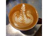 Coffee Training Class