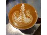 Coffee Training Class