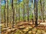 33.19 acres of land for sale in McIntyre Georgia United States