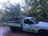 Part time long term gardening position