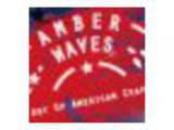 Amber Waves Art of the American Craft Beer
