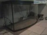 Fish Tank Sale