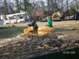 G.R.I.T.S Stump Grinding Service Cheapest Around Best In Town