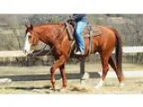 Short Dry Bandit Is A Drop Dead Gorgeous Full Bodied Smooth Clas