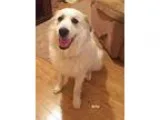 GET UP N GO!!