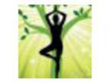 Beginner Lifestyle Yoga 8 week Series