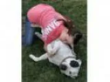 Adopt Millia a White - with Black Pit Bull Terrier Mixed dog in
