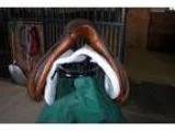 Stubben Romanus Saddle 18 &quot in Good condition
